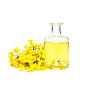 Pure Canola Oil in clear plastic bottle with golden yellow color – premium cooking oil supplied wholesale by LPL SRL GIDA