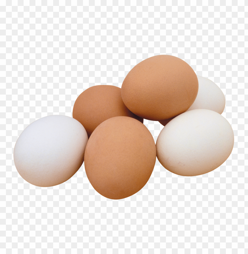 Premium white and brown chicken eggs – carefully graded for quality and freshness, wholesale export supply from LPL SRL GIDA